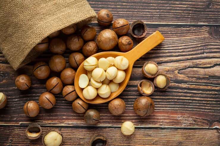 فروش فندق ماکادمیا